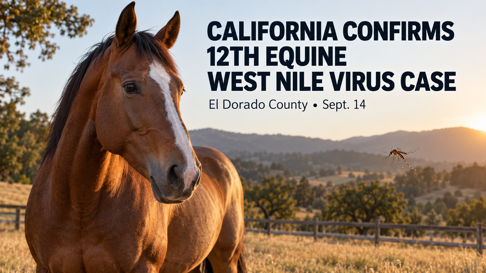 California Confirms 12th Equine West Nile Virus Case