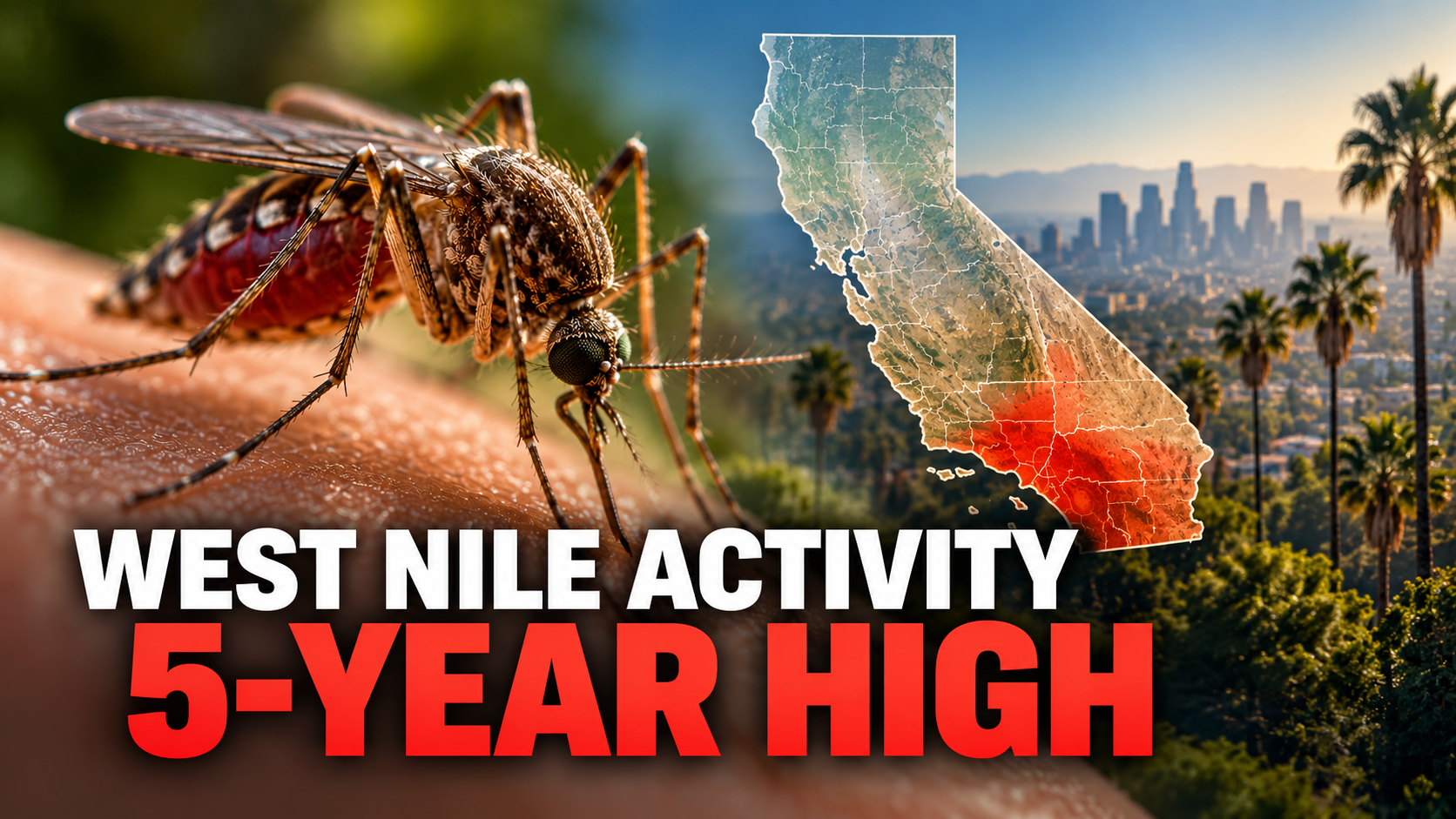 California West Nile Activity Hits Five-Year High
