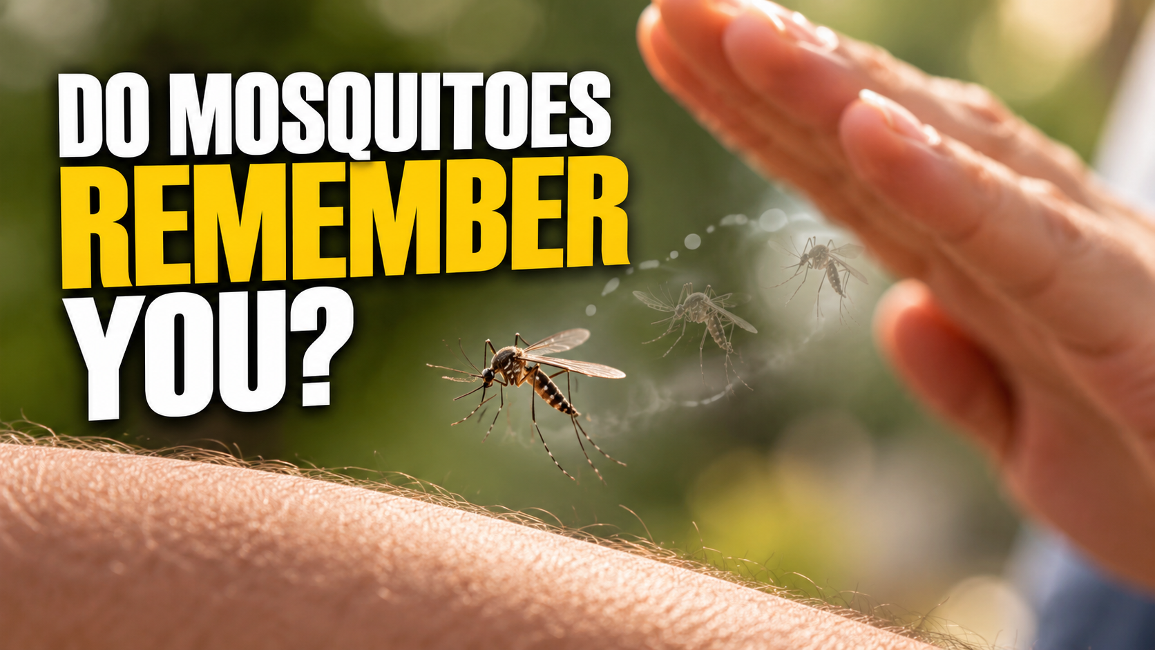 Do Mosquitoes Remember When You Try to Swat Them?