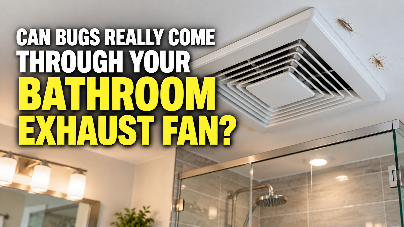 Can Bugs Really Come Through Your Bathroom Exhaust Fan?