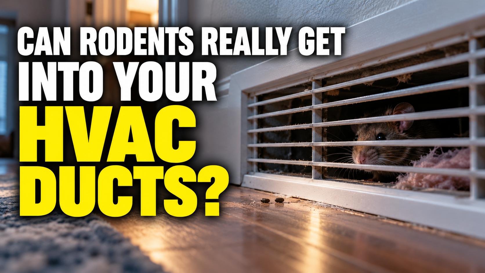 Can Rodents Really Get Into Your HVAC Ducts?